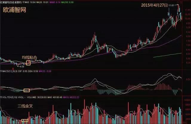 MACD底部黄金买点 三线金叉，买入次日就封板，主力给你抬轿