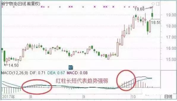 炒股不会看MACD，凭什么在中国股市生存